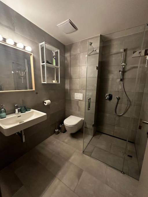 Horsky Apartman Achat Apartment Janov nad Nisou Exterior photo
